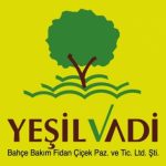 yesilvadi-271636247